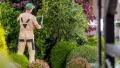 AVENTURA TREE SERVICE
